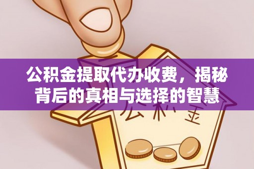 长寿公积金提取代办收费，揭秘背后的真相与选择的智慧