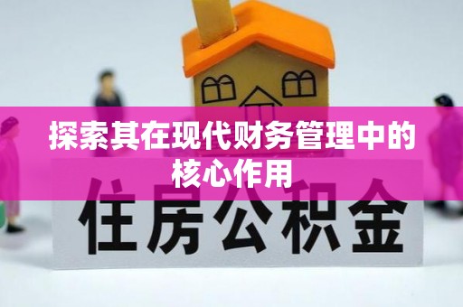 长寿探索其在现代财务管理中的核心作用
