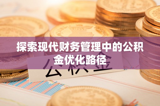 长寿探索现代财务管理中的公积金优化路径