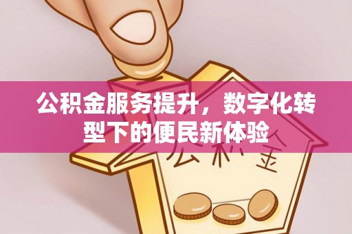长寿公积金服务提升，数字化转型下的便民新体验
