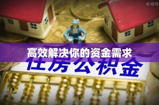 长寿高效解决你的资金需求